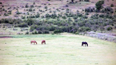 The Equamore Sanctuary