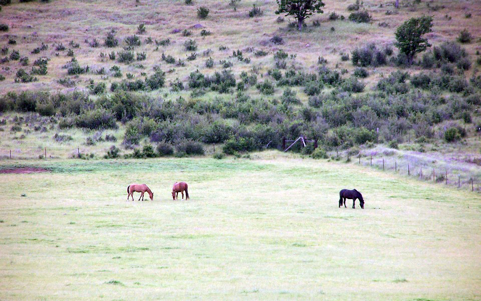 The Equamore Sanctuary