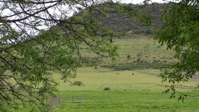 The Equamore Sanctuary High Pasture