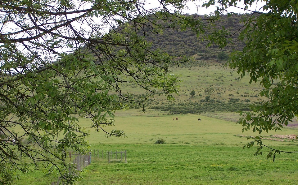 The Equamore Sanctuary High Pasture