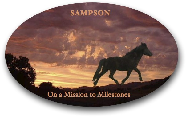 Sampson on a MIssion