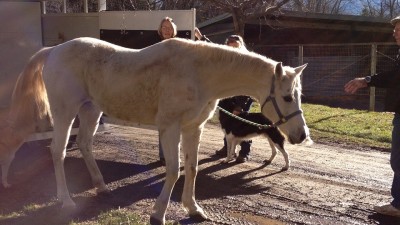 Bo Arriving at Equamore