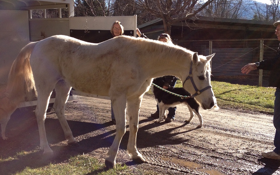 Bo Arriving at Equamore