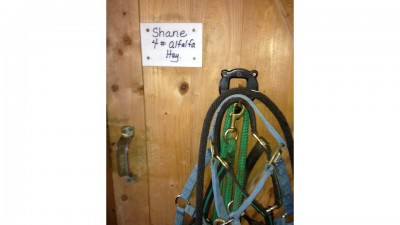 Shane's Door and Harnes