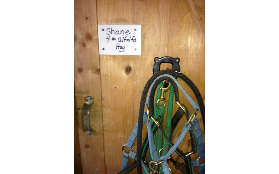 Shane's Door and Harnes