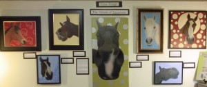 Dana's Portraits of Equamore Horses as displayed at the Ashland Art Center