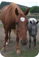 General: "Will you be Jasmine's friend?"