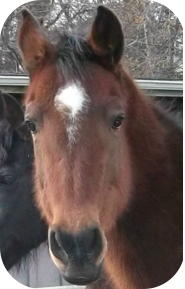 Dancer: Will you be my friend?"