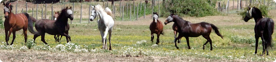 "How rare and wonderful is that flash of a moment when we realize we have discovered a friend." — William Rotsler