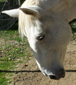 Diamond:  Hoping her prayer will be answered.