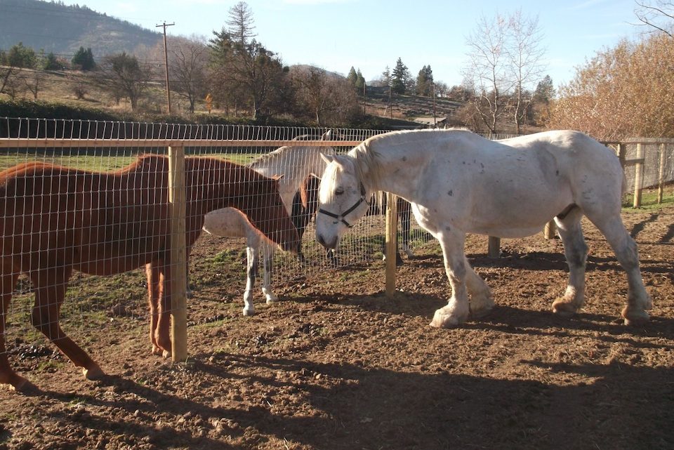 And to Star, who is very curious.