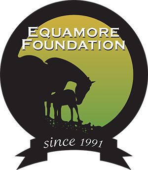 Equamore Foundation
